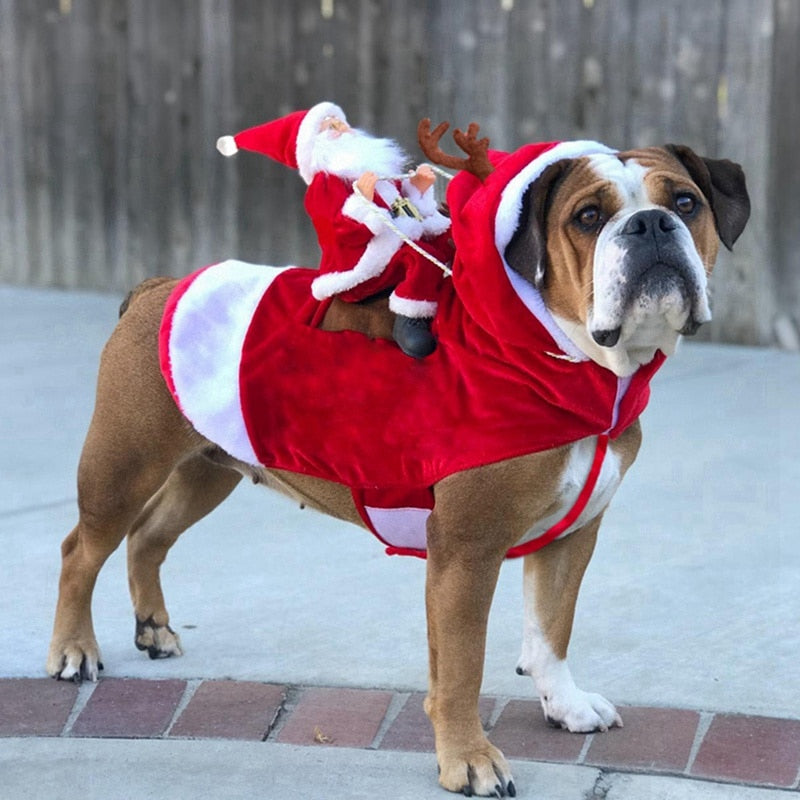 "Santa's Reindeer dog version" pet jacket by SB - Style's Bug