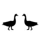 Realistic Duck earrings by SB (2 pairs pack) - Style's Bug