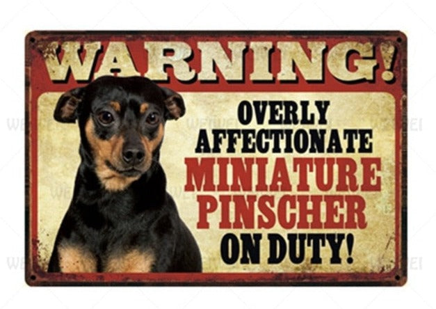 Overly Affectionate Dog Warning signs - Style's Bug Miniature Pinscher