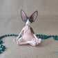 Realistic Sphynx cat statues - Style's Bug Pink and Gray - Meditating car