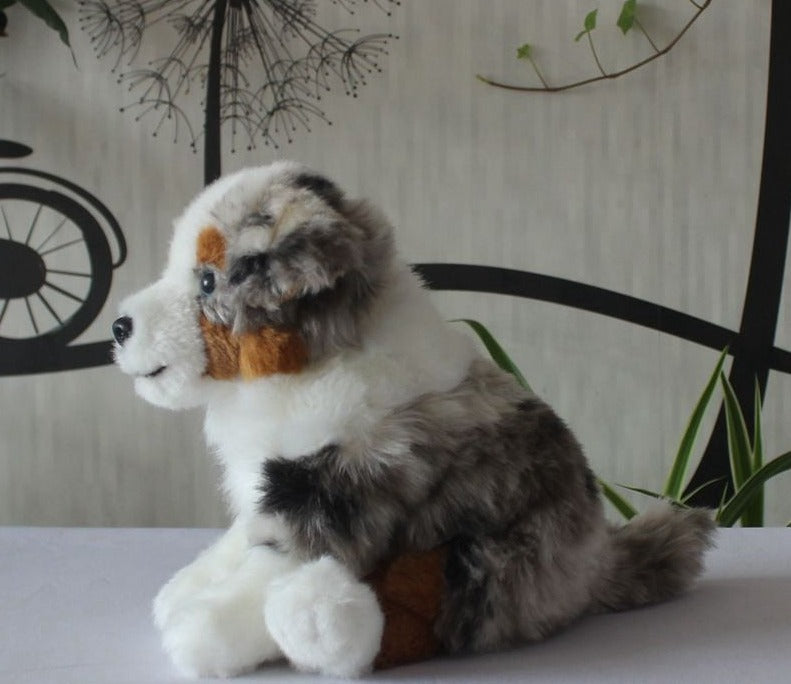 Soft Realistic Australian Shepherd plushies - Style's Bug