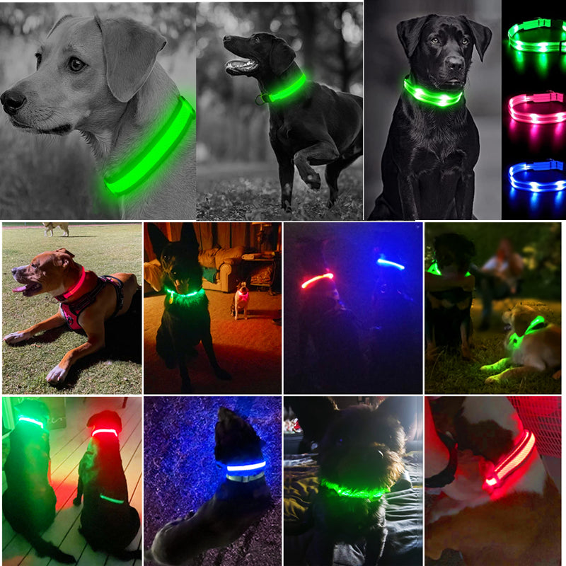 Anti-loss Dog LED Flashing Collar - Style's Bug