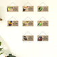 "A house is not a home without a .." Parrot Hanging signs