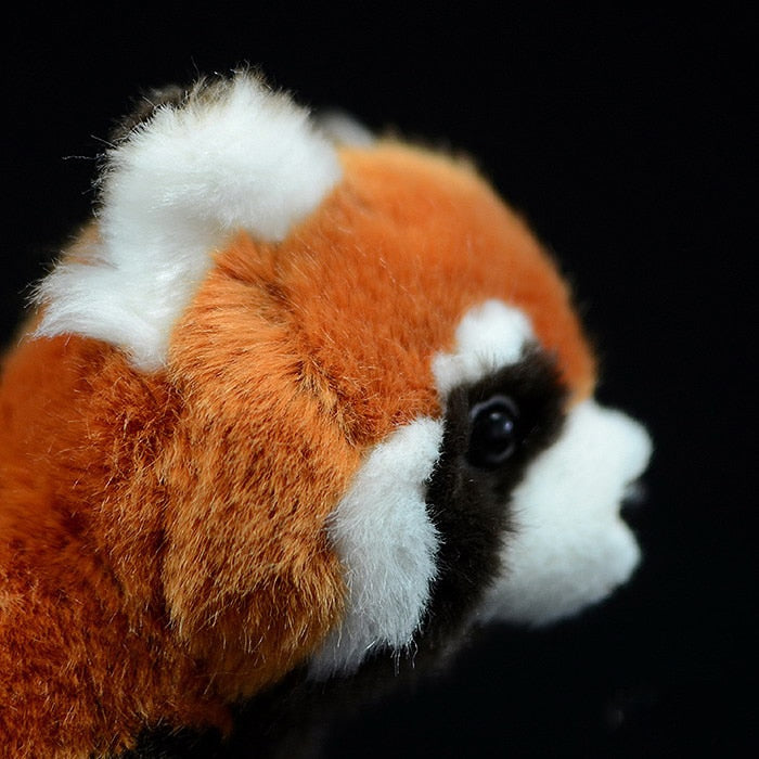 Realistic Red Panda plushies by SB - Style's Bug