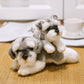Realistic Schnauzer puppy plushies - Style's Bug L Schnauzer + XL Schnauzer (5% OFF)