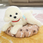 Realistic Poodle puppy plushies - Style's Bug White