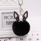 Fluffy Chihuahua keychains by SB (2pcs pack) - Style's Bug Black