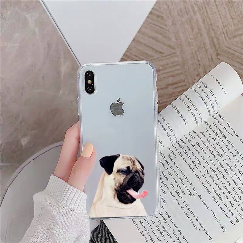 Pug Expression iPhone cases - Style's Bug Pug who ate a lemon / For iphone 6 6s