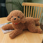 Realistic Poodle puppy plushies - Style's Bug Brown - A