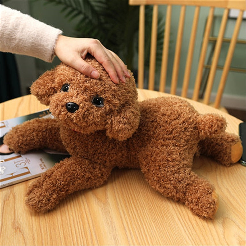Realistic Poodle puppy plushies - Style's Bug