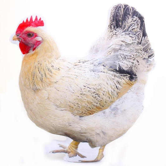 Realistic Chicken plush pillows - Style's Bug Hen