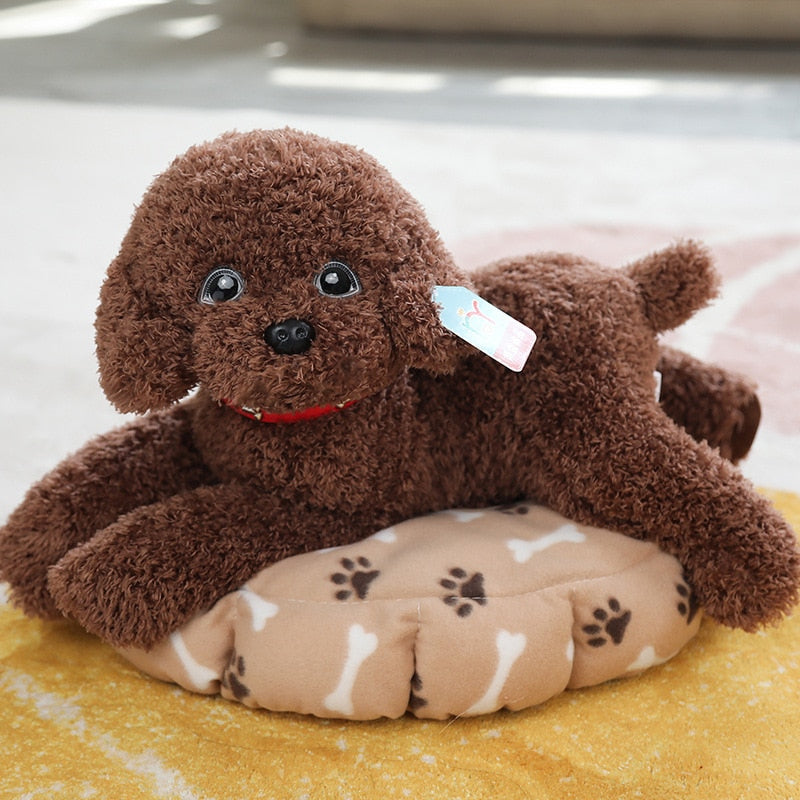 Realistic Poodle puppy plushies - Style's Bug Dark brown - B