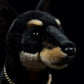 Realistic Dobermann Plushie