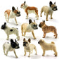 Realistic Small sized Dog breed ornaments