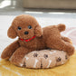 Realistic Poodle puppy plushies - Style's Bug Brown - B