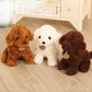 Poodle Puppy plushies