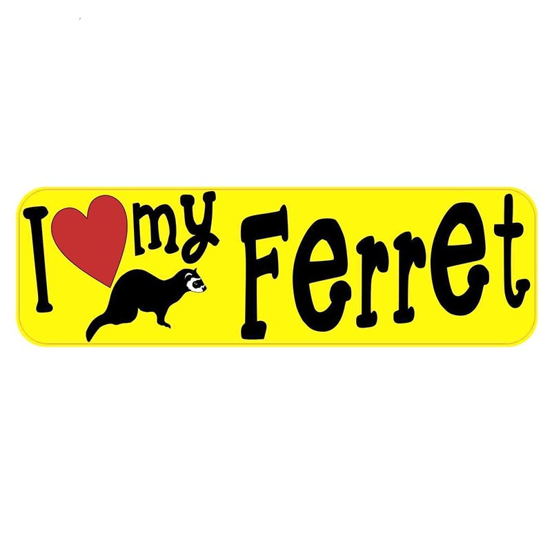 Funny Ferret stickers (2pcs pack) - Style's Bug I love my ferret