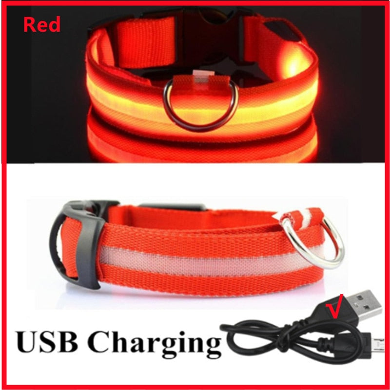 Anti-loss Dog LED Flashing Collar - Style's Bug Red + USB Charging / XS (28-38 cm)