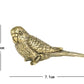 Brass Parrots by Style's Bug - Style's Bug