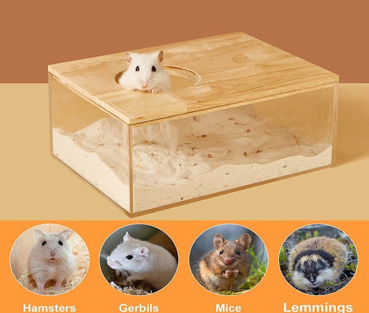 "Hamster's Private Room" - Transparent Sandbox Bathroom - Style's Bug