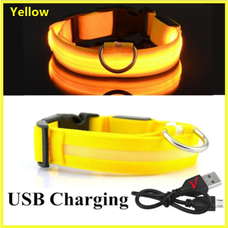 Anti-loss Dog LED Flashing Collar - Style's Bug Yellow + USB Charging / XS (28-38 cm)