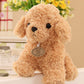 Poodle Puppy plushies