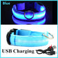 Anti-loss Dog LED Flashing Collar - Style's Bug Blue + USB Charging / XS (28-38 cm)