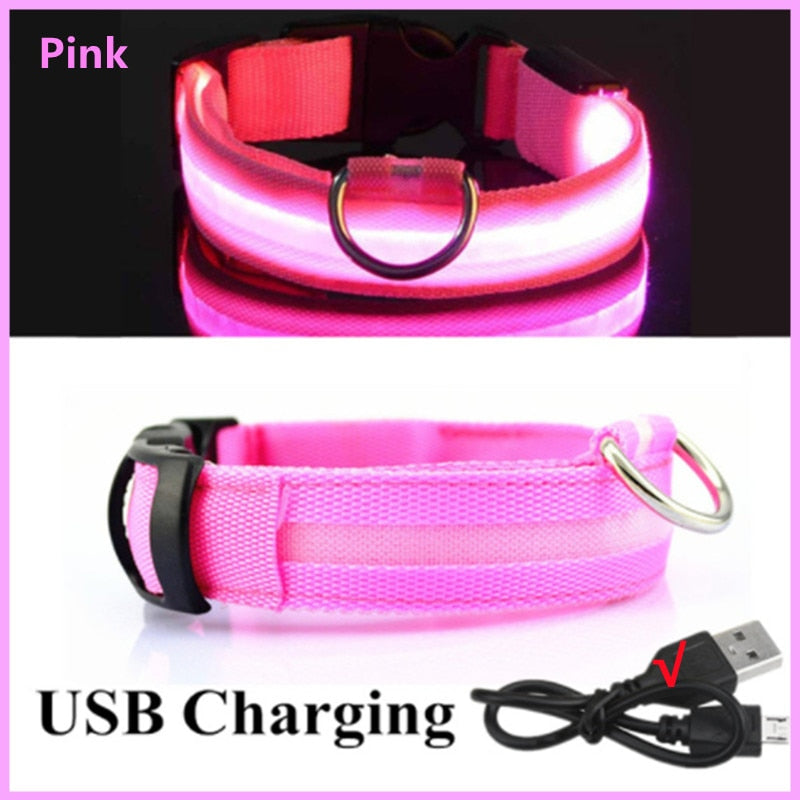 Anti-loss Dog LED Flashing Collar - Style's Bug Pink + USB Charging / XS (28-38 cm)