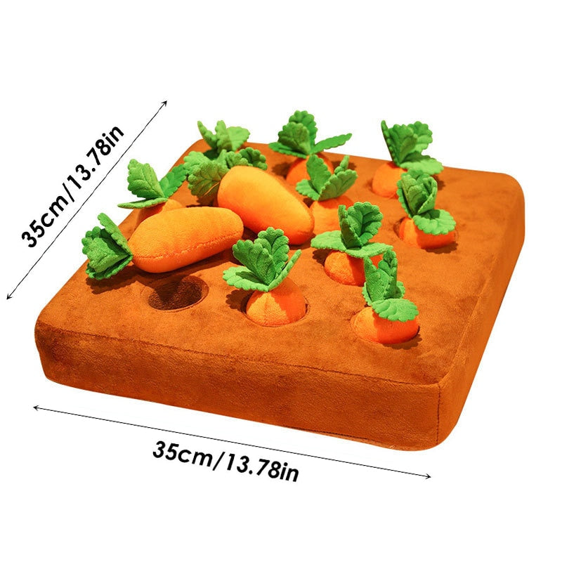 "Dog vs Veggies" Funny chew toy puzzle set - Style's Bug Carrots A