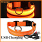 Anti-loss Dog LED Flashing Collar - Style's Bug Orange + USB Charging / XS (28-38 cm)