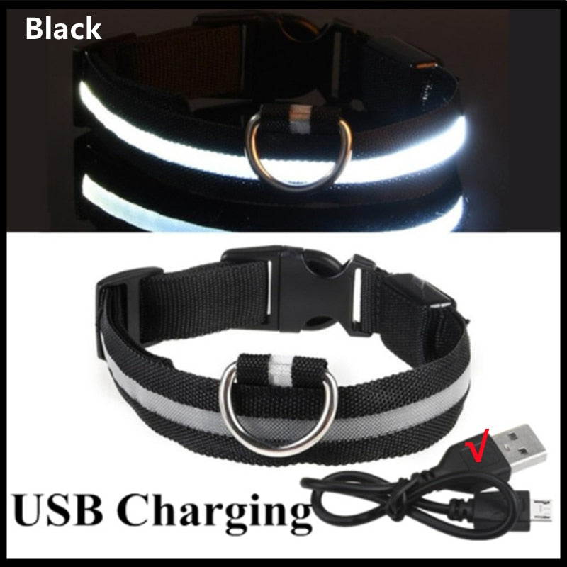 Anti-loss Dog LED Flashing Collar - Style's Bug Black + USB Charging / XS (28-38 cm)