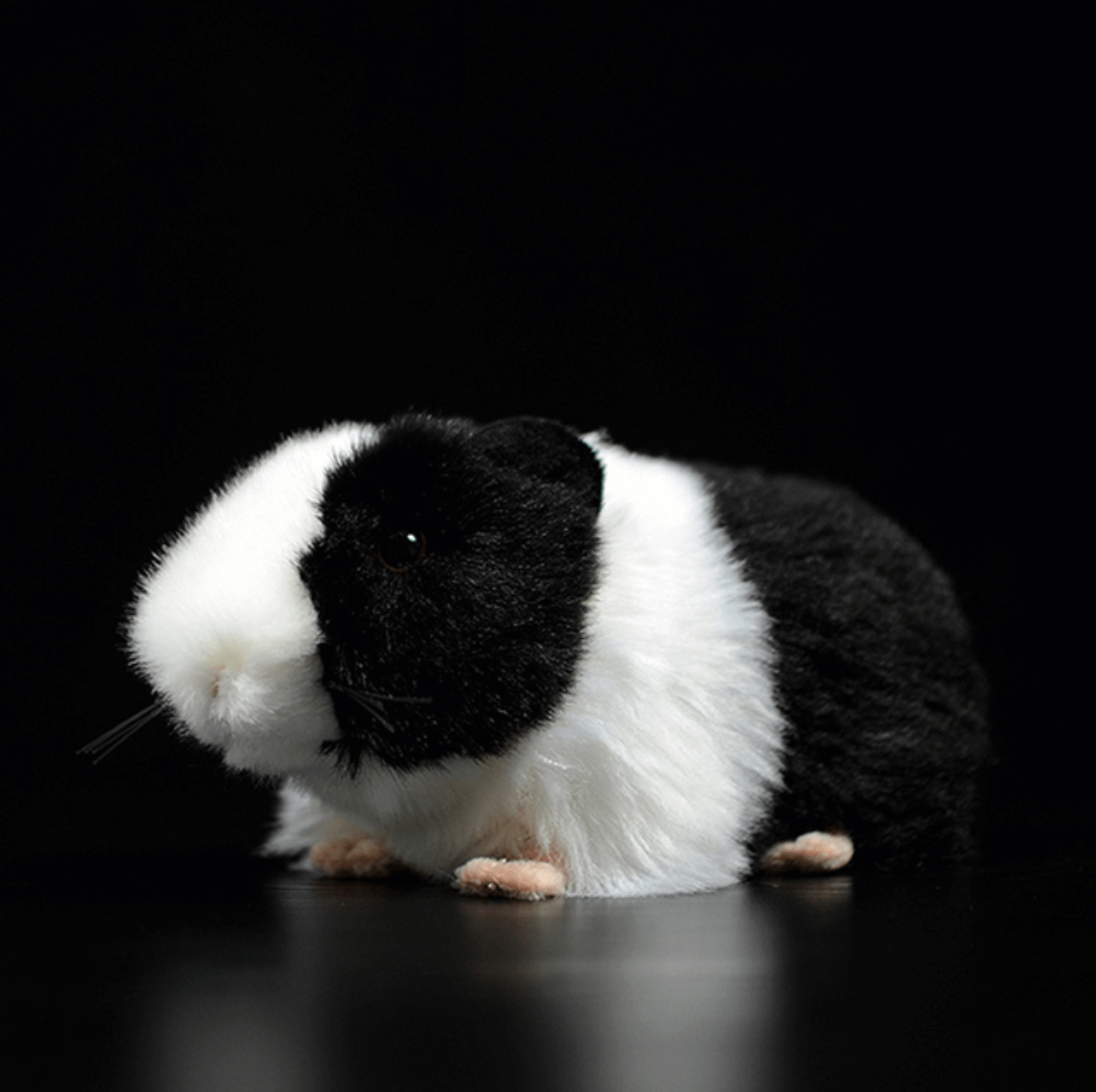 Realistic Guinea pig plushies by Style's Bug - Style's Bug 1 x Black Guinea pig