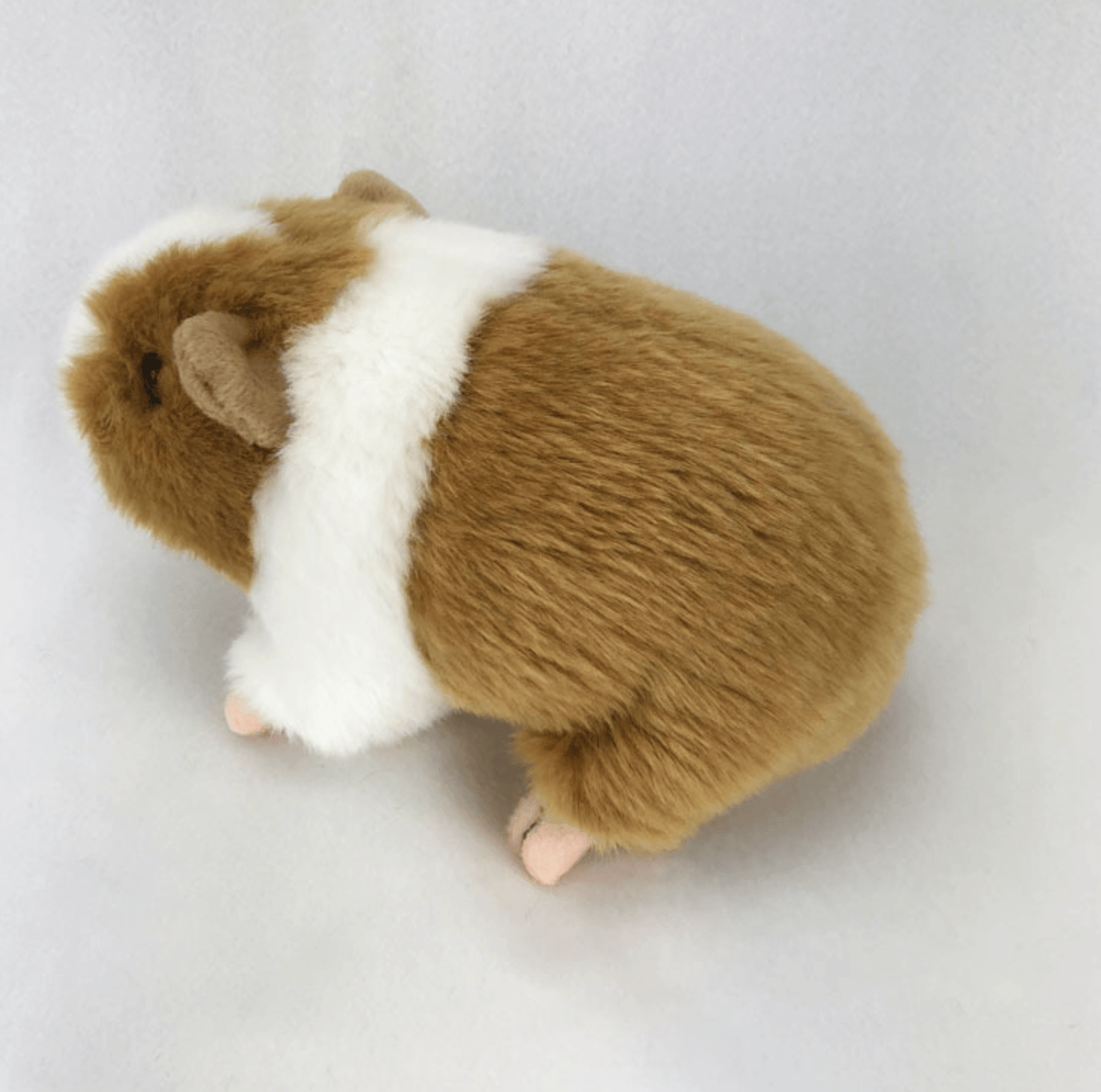 Realistic Guinea pig plushies by Style's Bug - Style's Bug