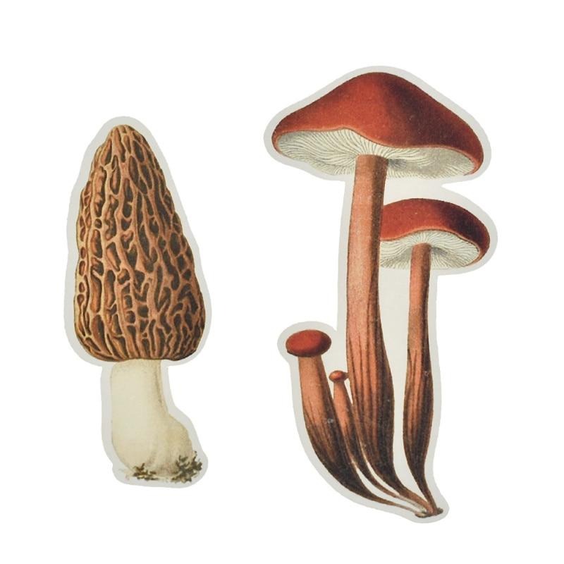 Realistic mushroom Sticker pack - Style's Bug