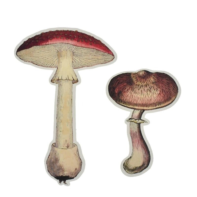 Realistic mushroom Sticker pack - Style's Bug