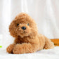 Poodle puppy plushies by Style's Bug - Style's Bug lying down - BROWN / Height - 29 cm