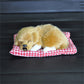 Cute Sleeping Puppy - Style's Bug Yellow