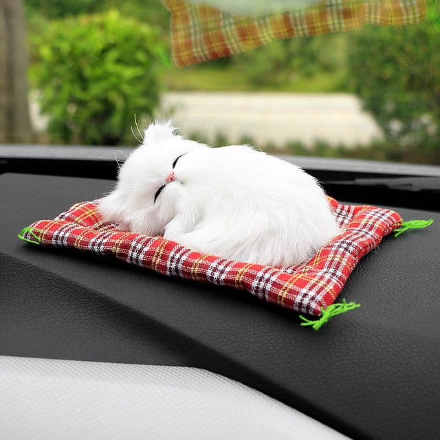 Cute Sleeping Kitten - Style's Bug White