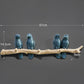 Home Birdies - Style's Bug 4 Dark blue birds