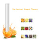 Solar power rotating Air Plane + Inbuilt Air Freshener + Non Slip mat - Style's Bug 10 * Marine Perfume bars