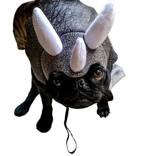 'Doggy Triceratop' by Style's Bug - Style's Bug