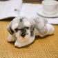 Puppy plushies by Style's Bug - Style's Bug Schnauzer 24X16X13cm