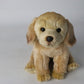 Puppy plushies by Style's Bug - Style's Bug Labrador 26X18X10cm