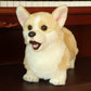 Puppy plushies by Style's Bug - Style's Bug Corgi 32X13X21cm