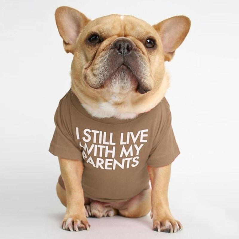 "I STILL LIVE WITH MY PARENTS" Dog T-shirts - Style's Bug