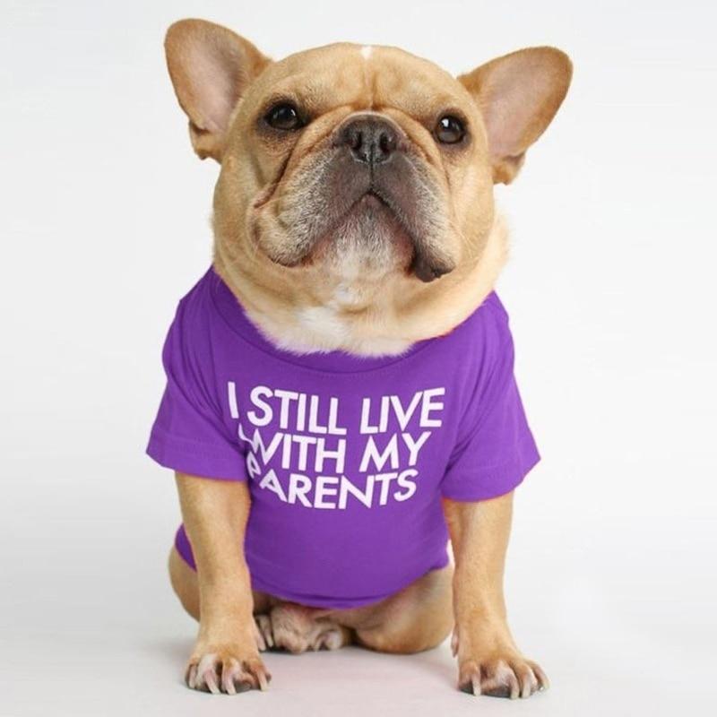 "I STILL LIVE WITH MY PARENTS" Dog T-shirts - Style's Bug