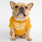 "I STILL LIVE WITH MY PARENTS" Dog T-shirts - Style's Bug