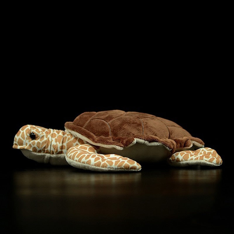 Realistic Turtle plushies by Style's Bug - Style's Bug