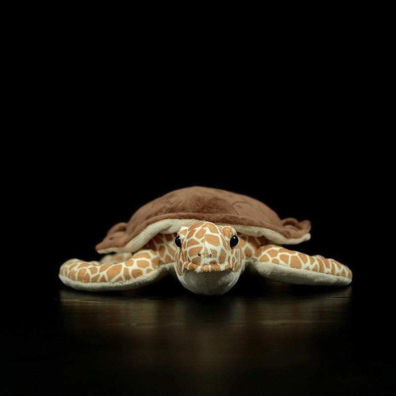 Realistic Turtle plushies by Style's Bug - Style's Bug