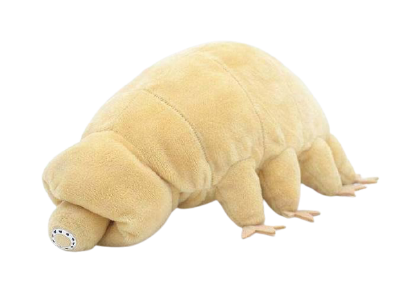 Tardigrade plushie by Style's Bug - Style's Bug